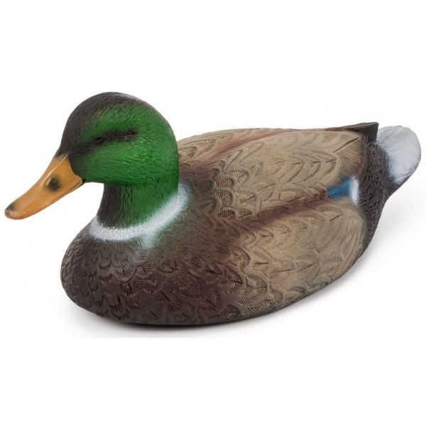 Чучело селезень "Кряква"