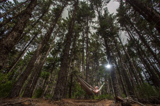 Гамак одноместный